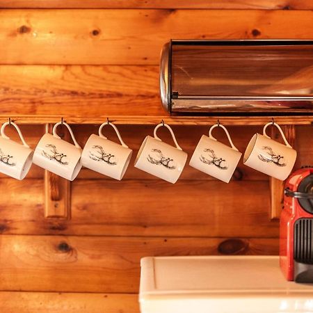 Tanygrisiau 3 Bedroom Log Cabin In Snowdonia Nr Mtb Trails מראה חיצוני תמונה
