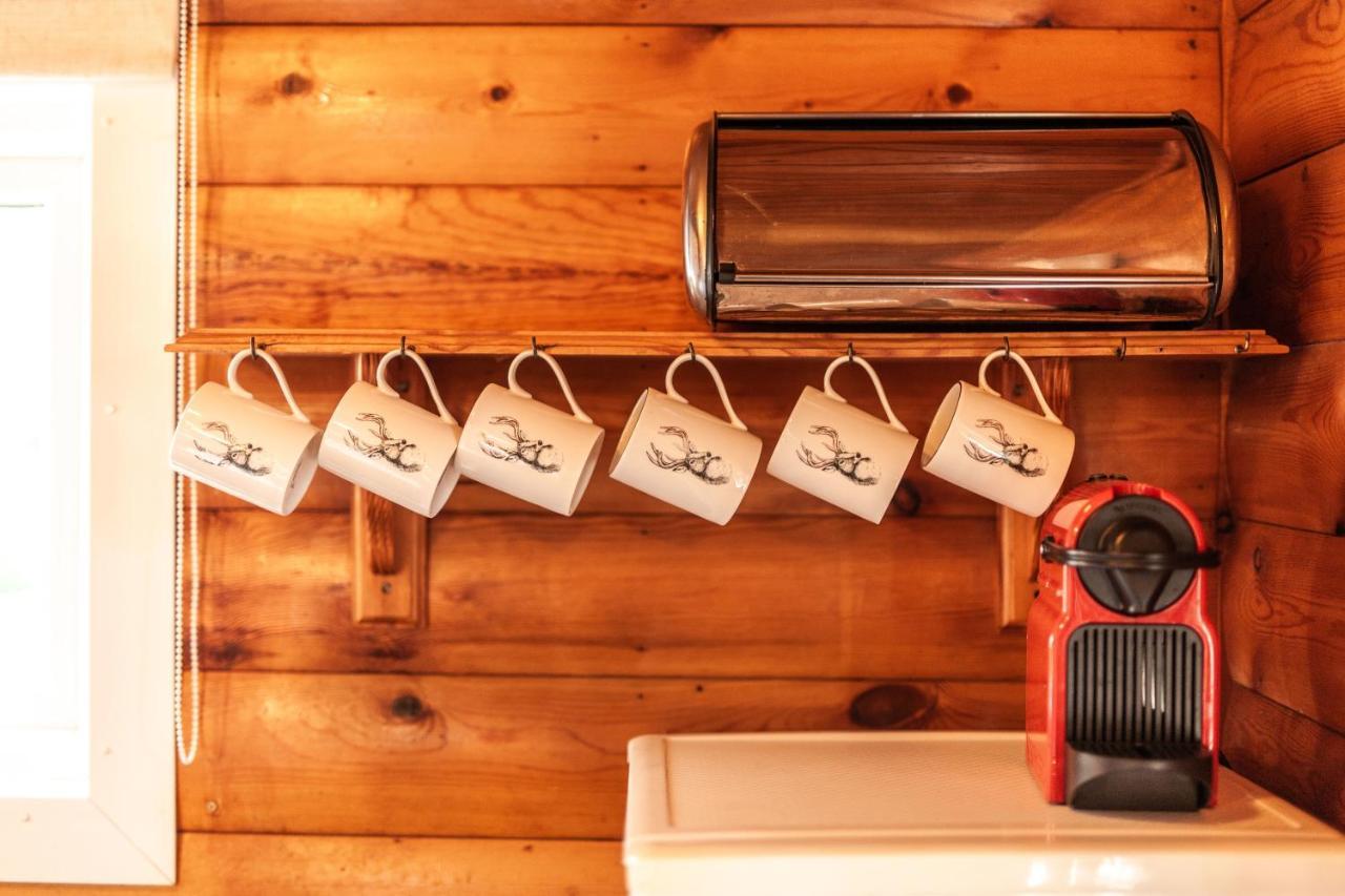 Tanygrisiau 3 Bedroom Log Cabin In Snowdonia Nr Mtb Trails מראה חיצוני תמונה