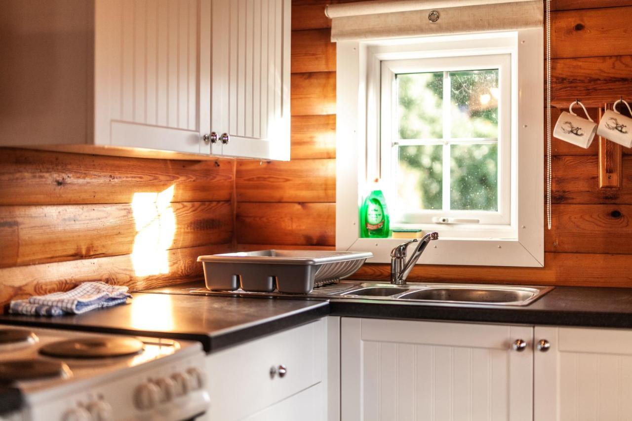Tanygrisiau 3 Bedroom Log Cabin In Snowdonia Nr Mtb Trails מראה חיצוני תמונה