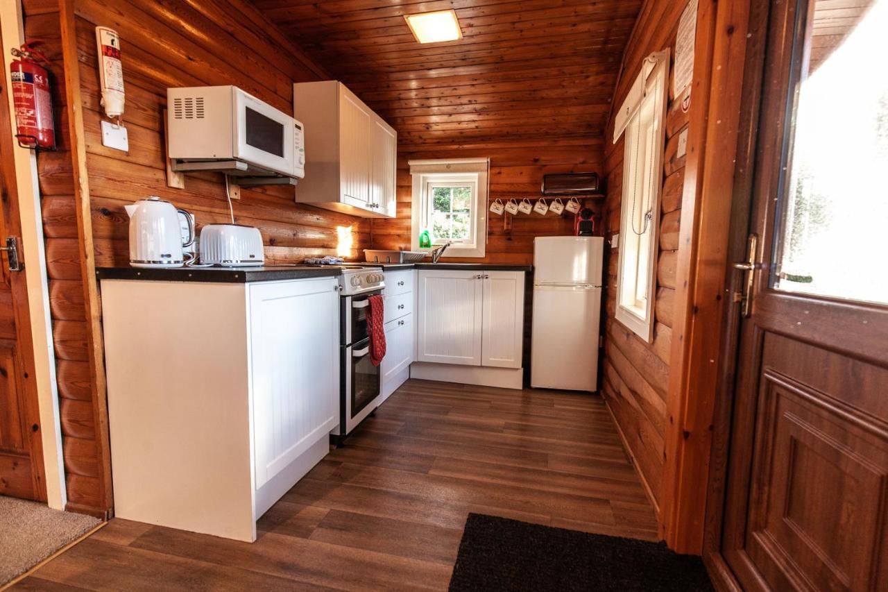 Tanygrisiau 3 Bedroom Log Cabin In Snowdonia Nr Mtb Trails מראה חיצוני תמונה